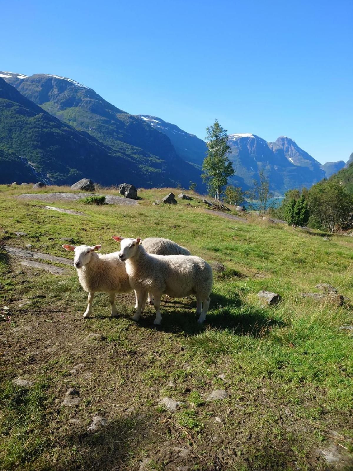 Trollbu Aabrekk Gard Villa Briksdalsbre Exterior foto